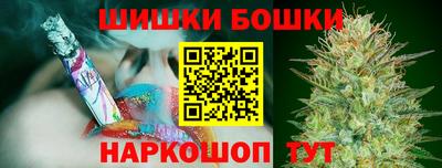 крисы Ставрополь