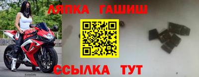 крисы Ставрополь