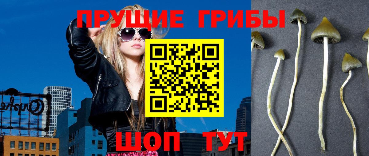 Псилоцибиновые грибы GOLDEN TEACHER Нягань